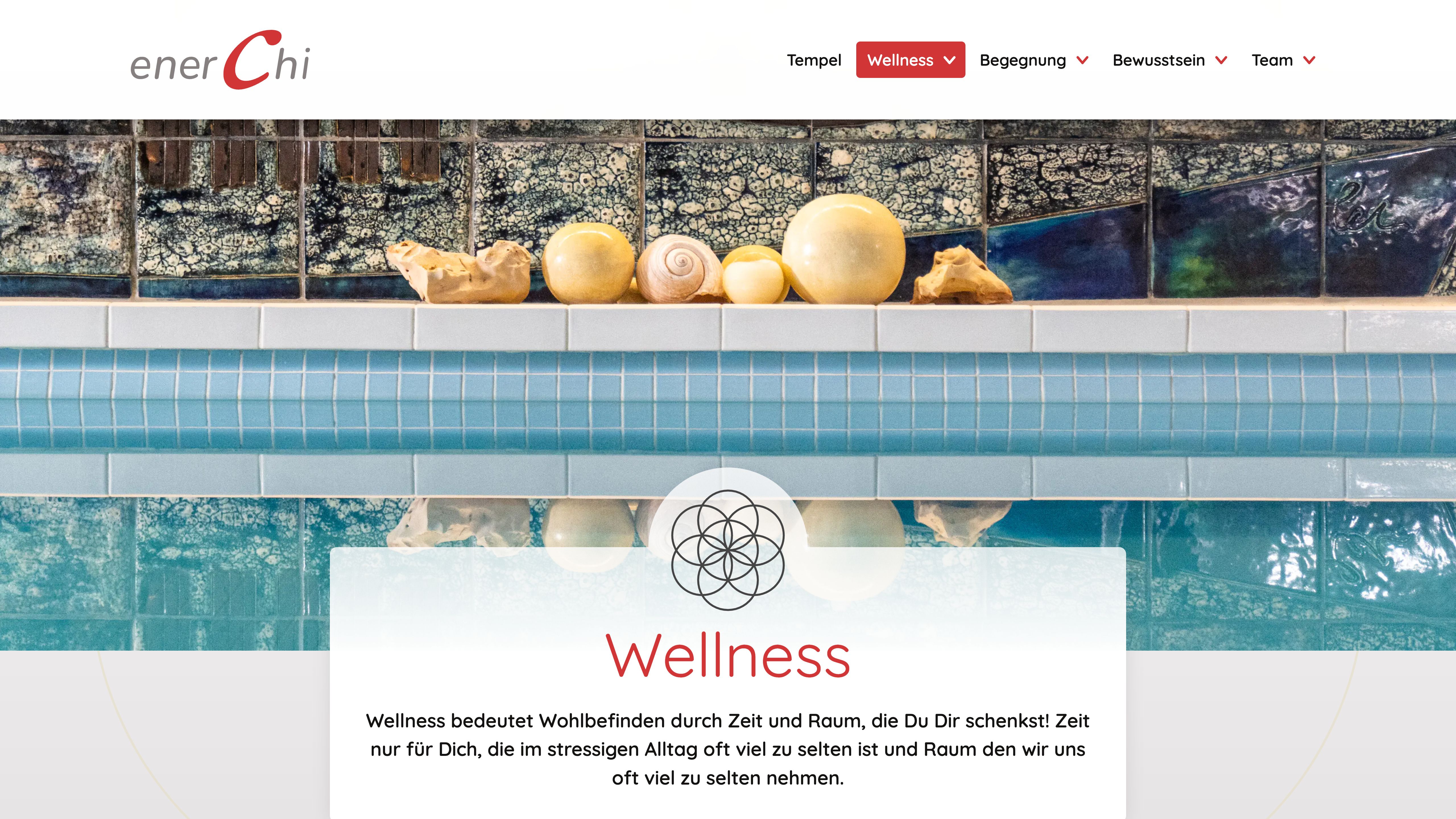 Screenshot of the enerchi wellness page
