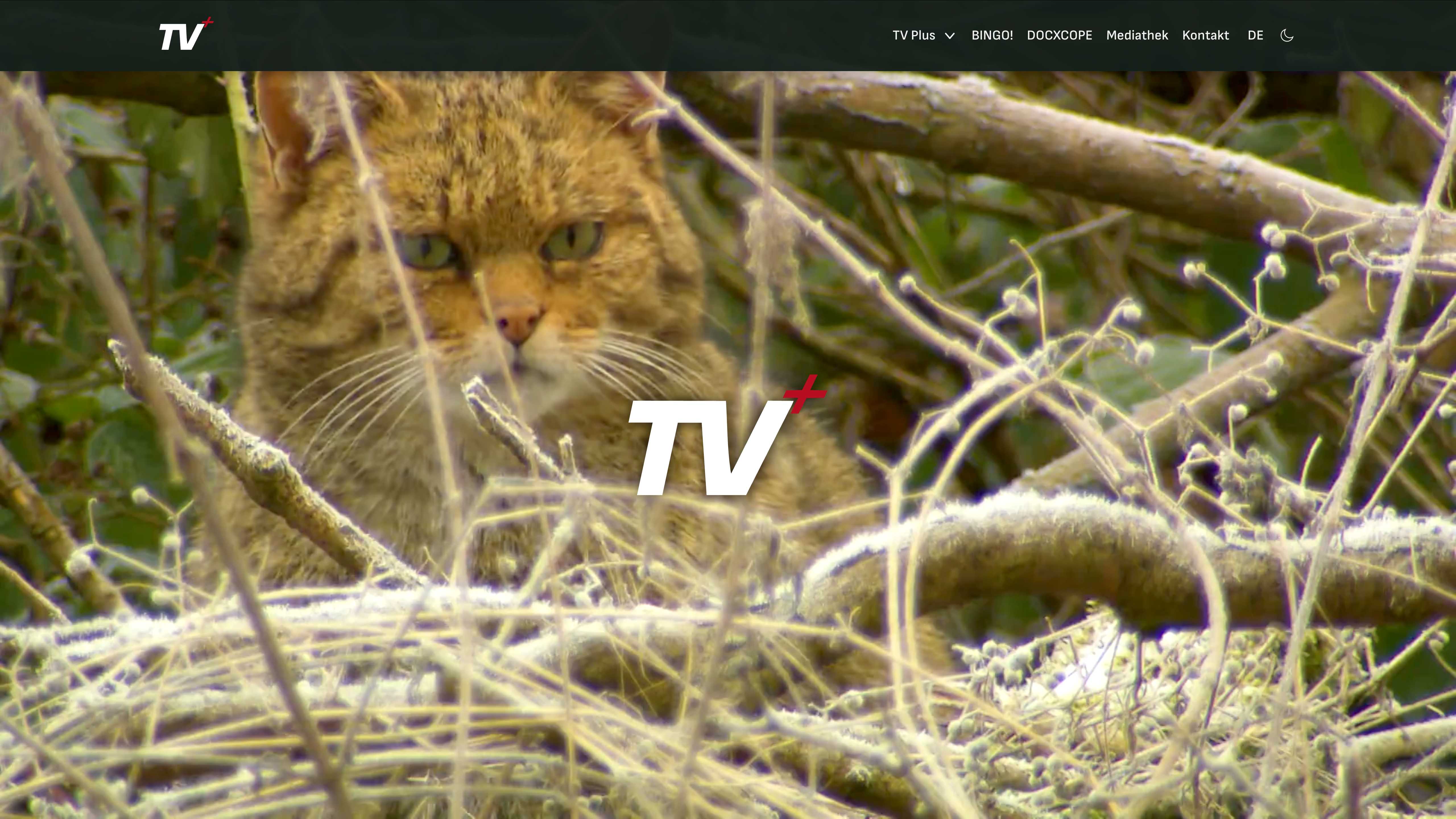 Screenshot der TV Plus Homepage