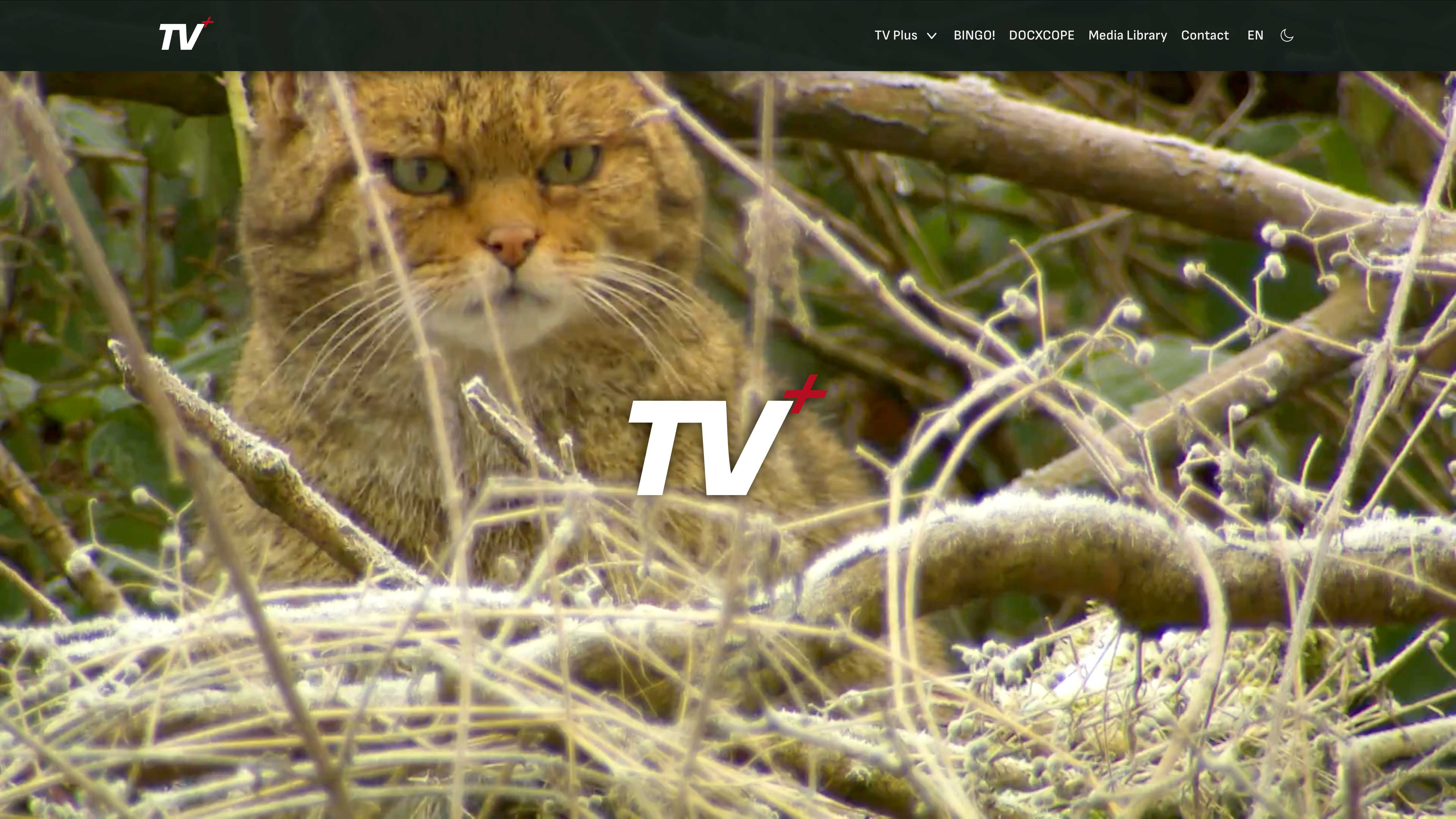 Screenshot of the TV Plus homepage