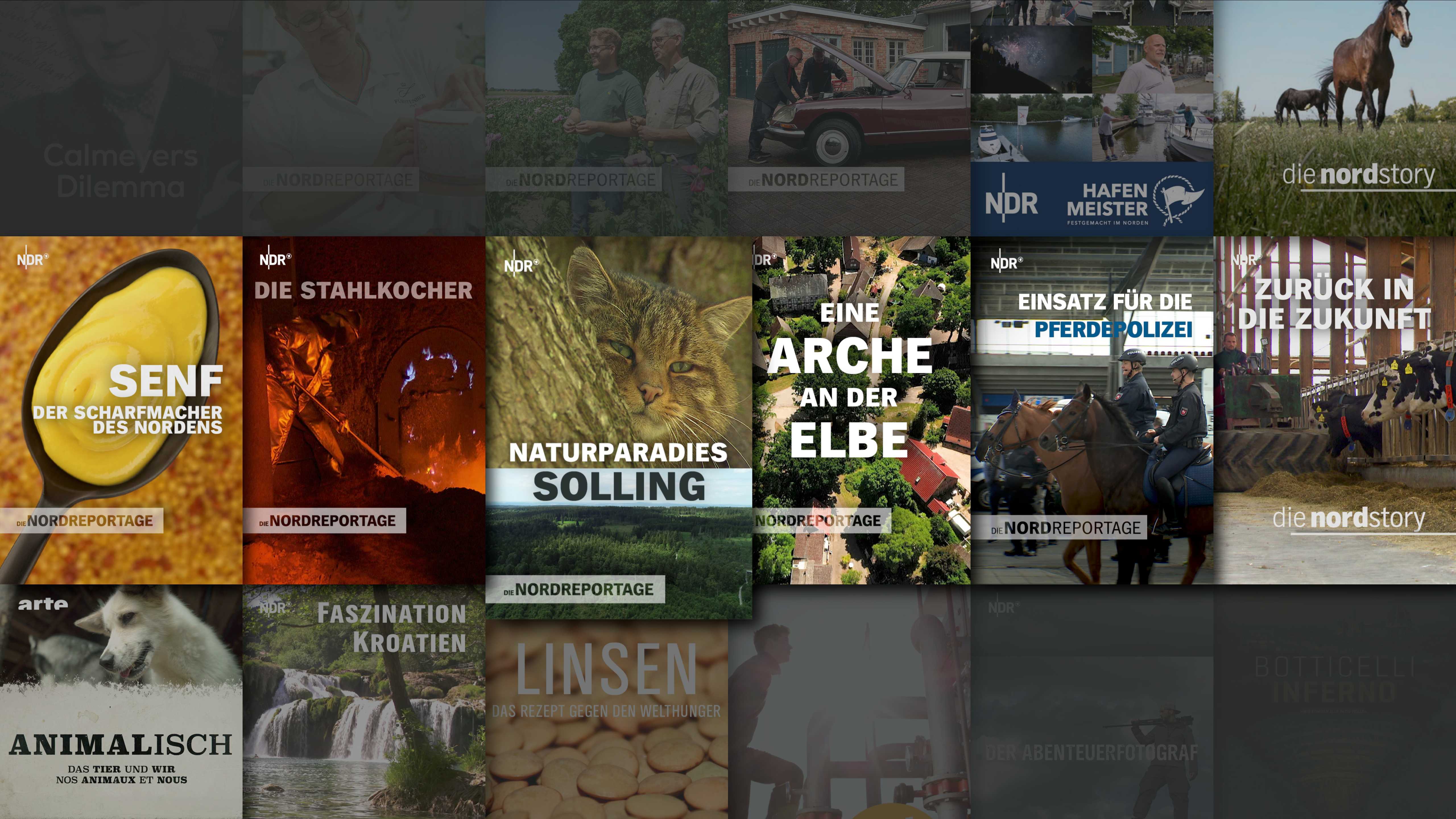 Screenshot der TV Plus Mediathek