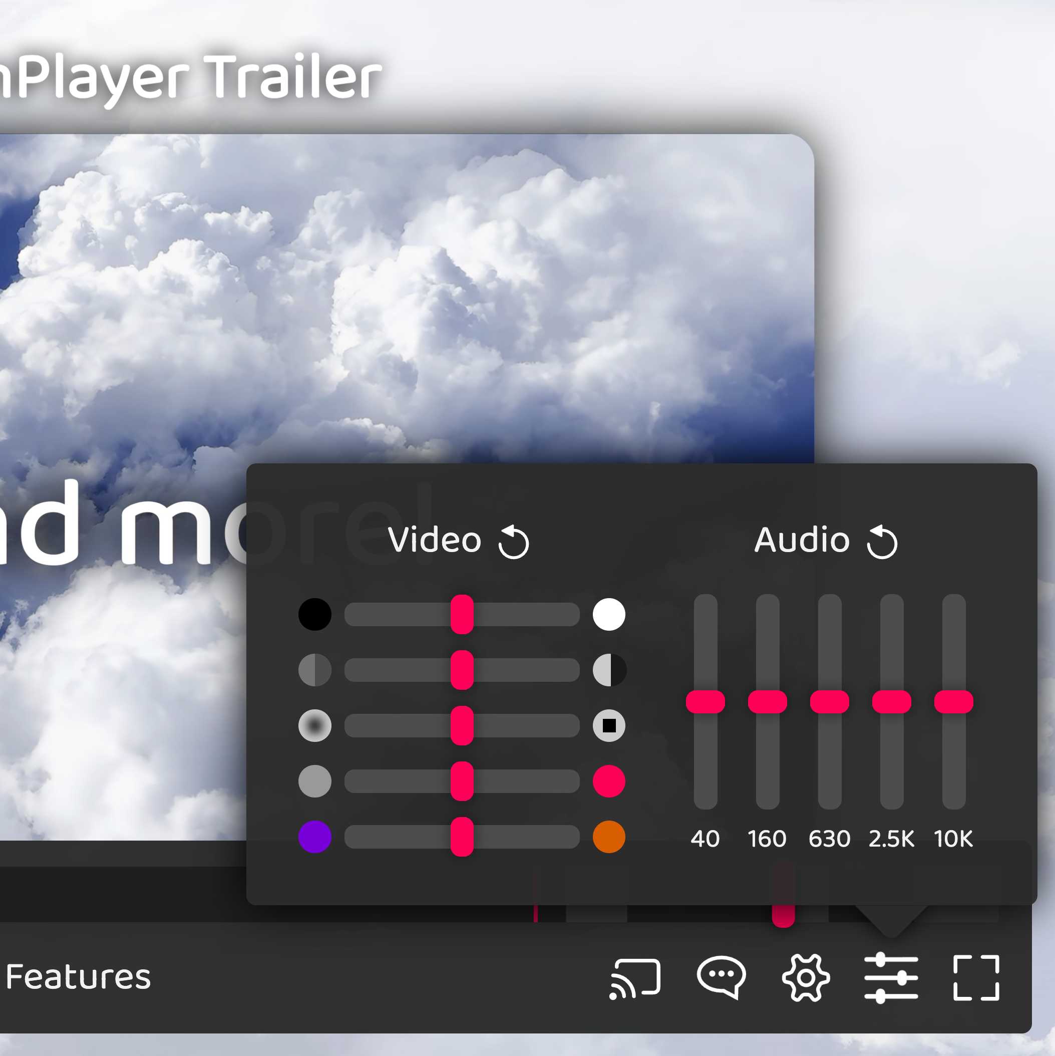 Screenshot of the VisionPlayer: Picture Settings